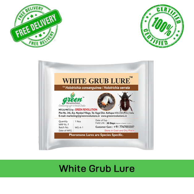 White-Grub-Lure-(Pack-of-10)-Green-Revolution
